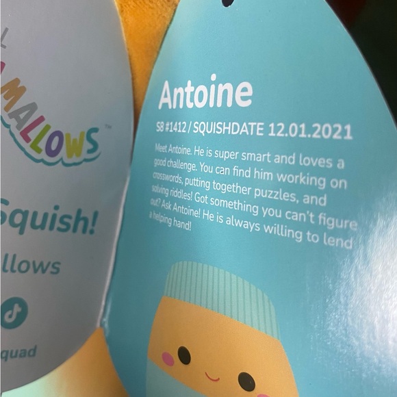 NWT Original Squishmallow 8” Antoine The Peanut Butter Jar - Picture 4 of 6